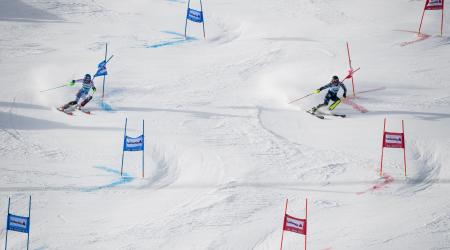 Women's Parallel Slalom